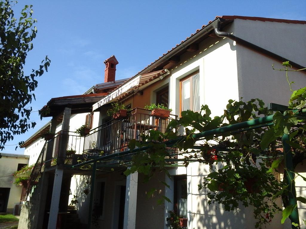 Kmetija Medljan Vila Izola Exterior foto