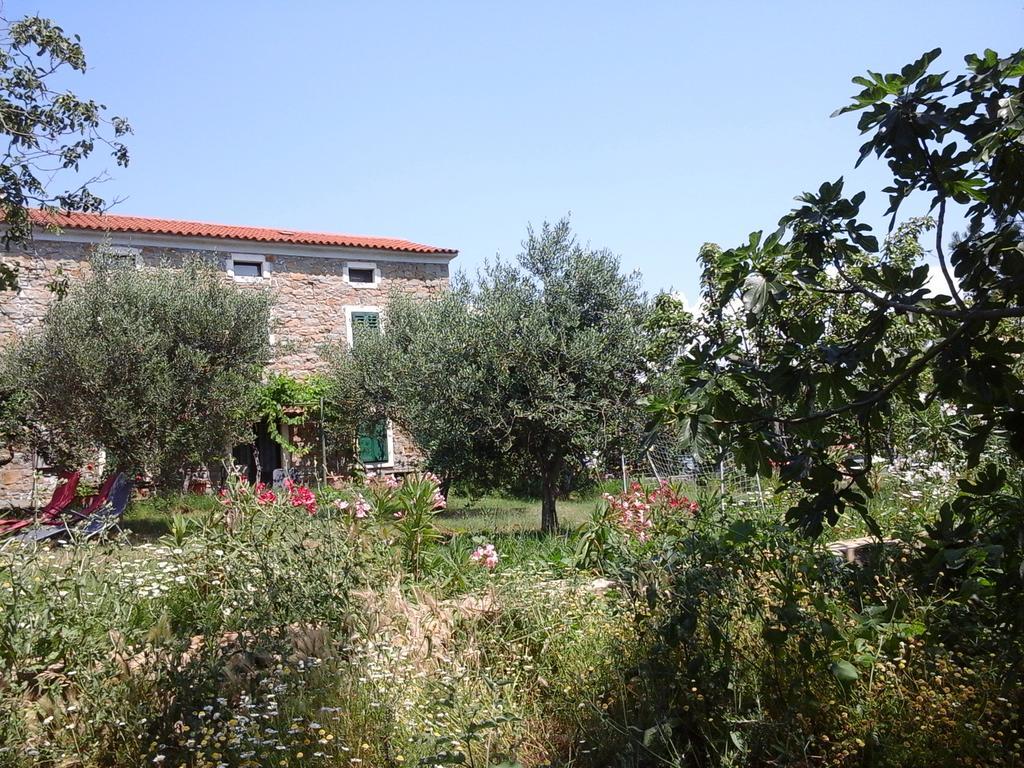 Kmetija Medljan Vila Izola Exterior foto
